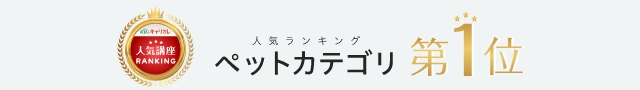 ペット看護士 セラピスト W資格取得講座 ペットの資格 通信教育講座 資格のキャリカレ ペット看護士 セラピスト W資格取得講座 ペットの資格 通信教育講座 資格のキャリカレ