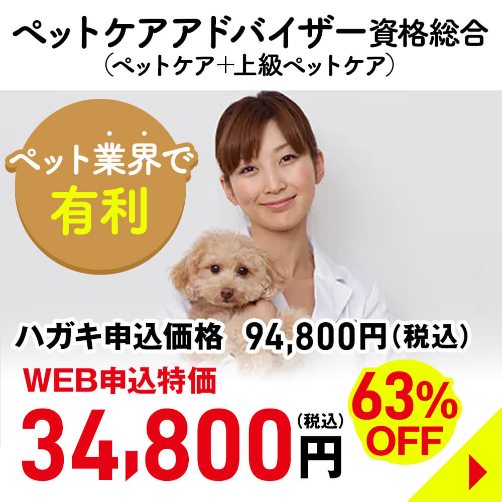 ペットケアアドバイザー資格総合
																		
