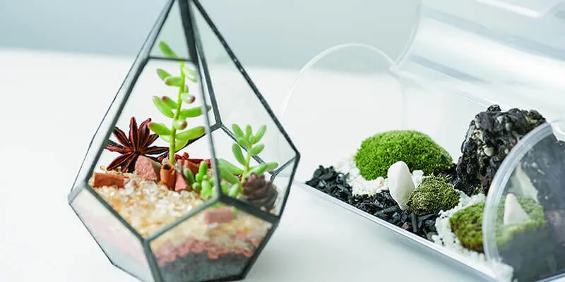 講座イメージ画像