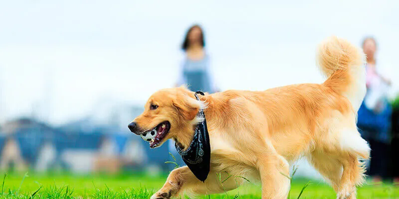 講座イメージ画像