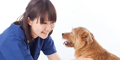 講座イメージ画像
