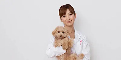 講座イメージ画像