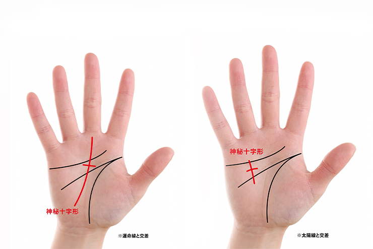 手相占い徹底解説 7大線と幸運な手相7選 資格のキャリカレ