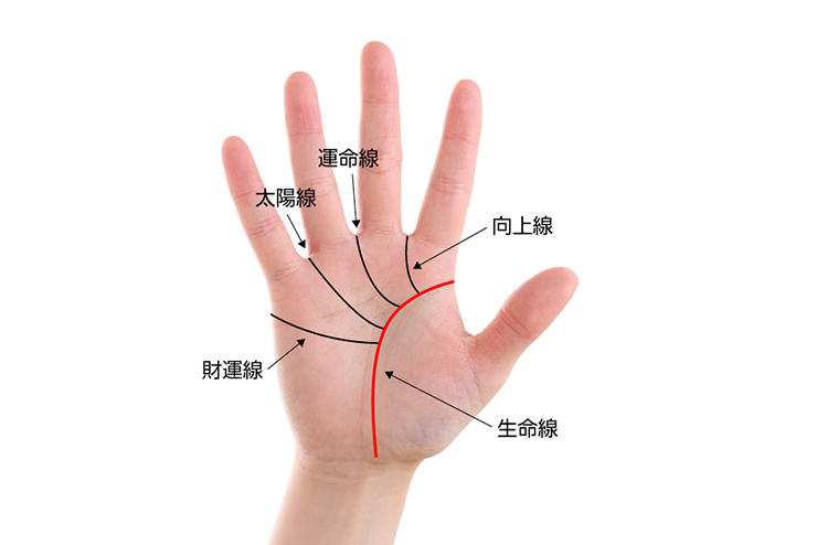 手のひら全体に「開運線」