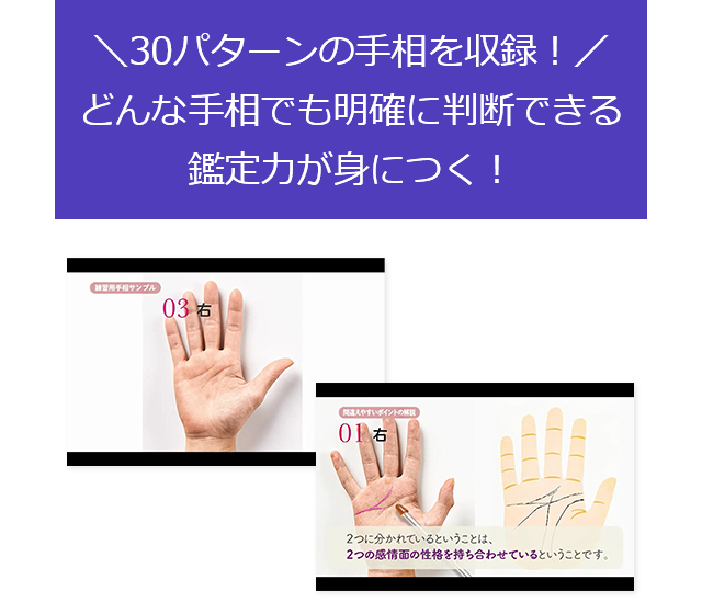 \30パターンの手相を収録!/どんな手相でも明確に判断できる鑑定力が身につく!