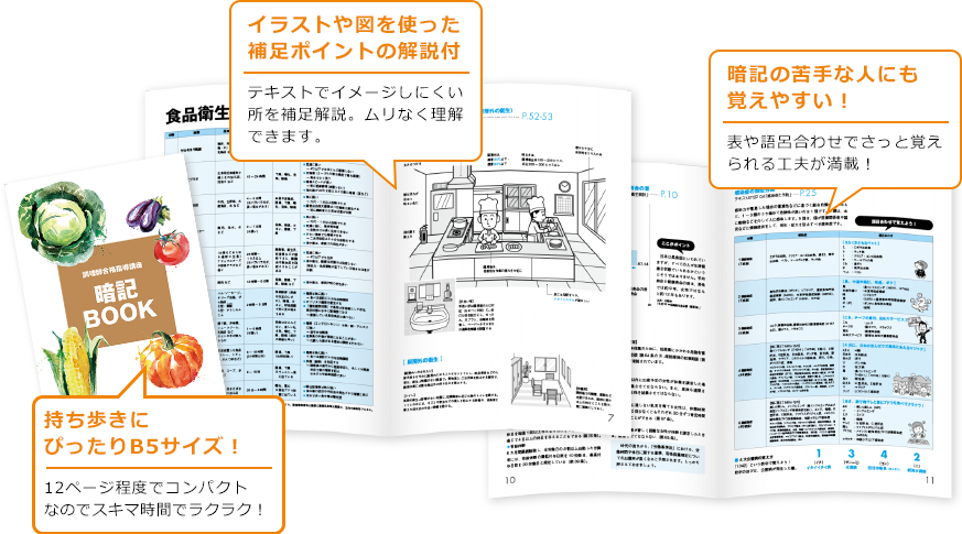 持ち歩きにぴったりB5サイズ！、イラストや図を使った補足ポイントの解説付き、暗記の苦手な人にも覚えやすい