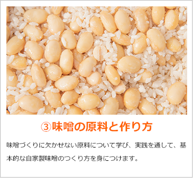 ③味噌の原料と作り方　味噌づくりに欠かせない原料について学び、実践を通して、基本的な自家製味噌のつくり方を身につけます。