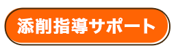 添削指導サポート 