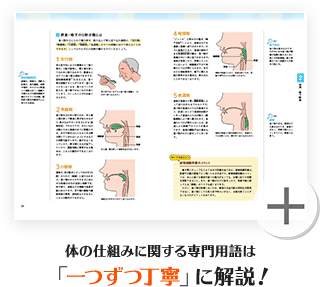 体の仕組みに関する専門用語は「一つずつ丁寧」に解説！