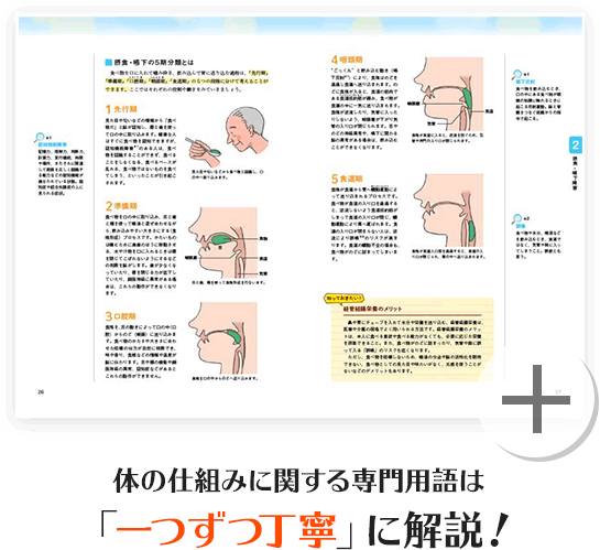 体の仕組みに関する専門用語は「一つずつ丁寧」に解説！