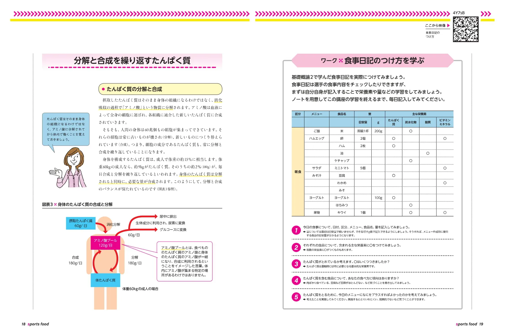 紙＆WEBテキストの説明画像