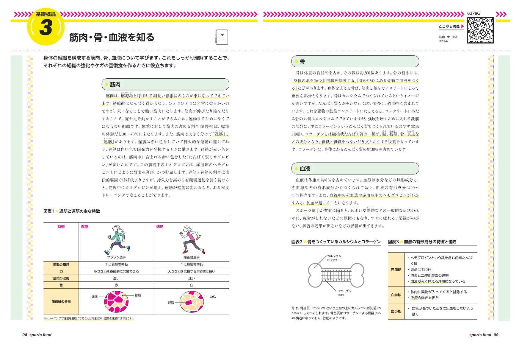 紙＆WEBテキストの説明画像
