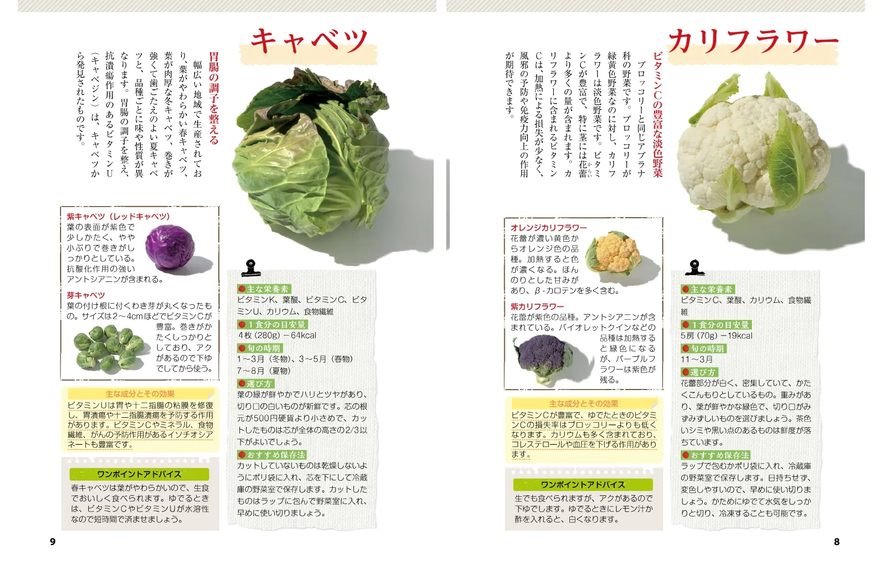 テキスト例 安全な食品の見分け方