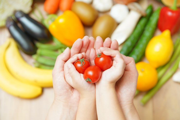 食育の資格とはどのようなもの？ のイメージ画像