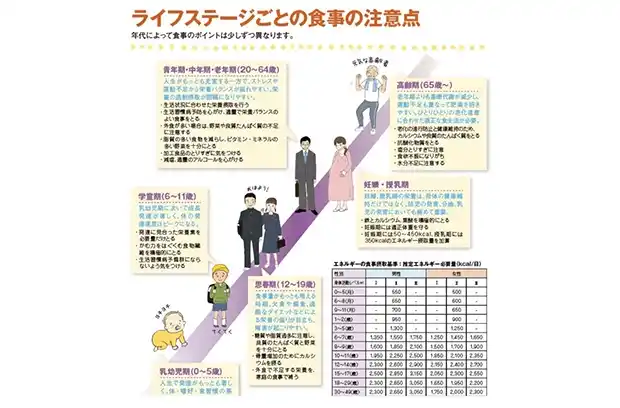 テキスト例 ライフステージごとの食事の注意点
