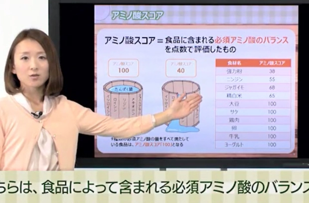 映像講義例 栄養素の働きについて