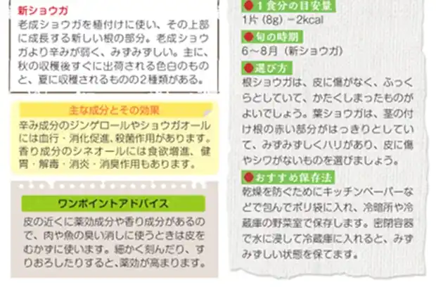 テキスト例 ワンポイントアドバイス