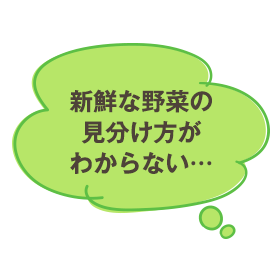 新鮮な野菜の見分け方がわからない…