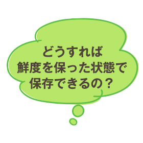 どうすれば鮮度を保った状態で保存できるの？