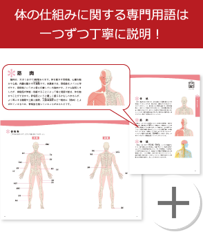 体の仕組みに関する専門用語は一つずつ丁寧に説明！