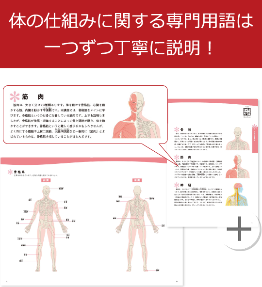 体の仕組みに関する専門用語は一つずつ丁寧に説明！