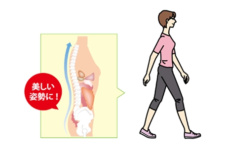 美しい姿勢イメージイラスト