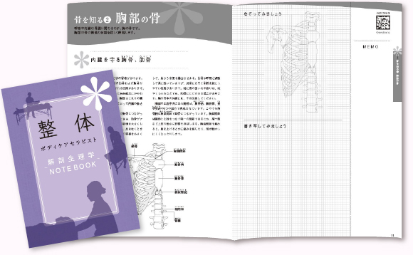 「解剖生理学NOTE BOOK」