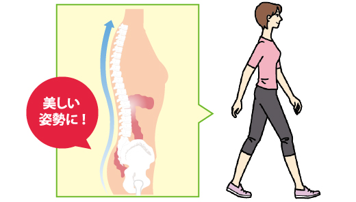 骨盤の歪みを矯正し美しい姿勢に！