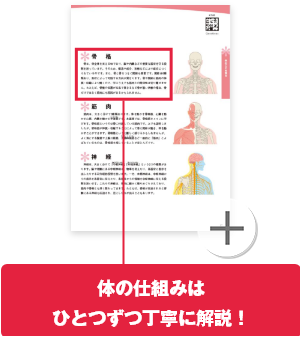 体の仕組みはひとつずつ丁寧に解説！