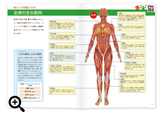 トレーニングに必要な筋肉の仕組みも詳しく解説！