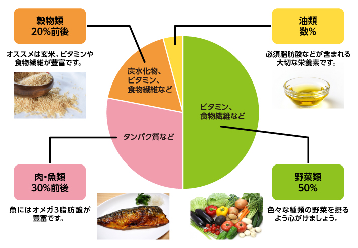 摂るべき食材の比率