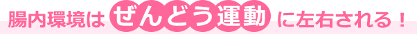 腸内環境はぜんどう運動に左右される！