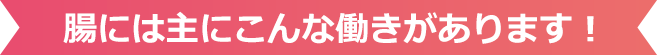 腸には主にこんな働きがあります！