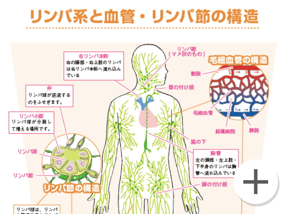 教材セット リンパケアセラピスト講座 リンパトリートメント アロマの資格 通信教育講座 資格のキャリカレ