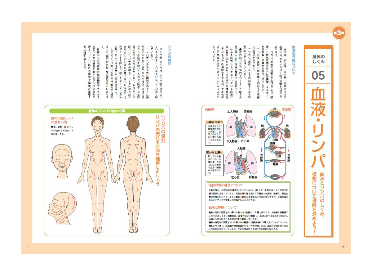 教材セット | フェイシャルリンパケアセラピスト資格講座 | エステの 教材セット | フェイシャルリンパケアセラピスト資格講座 | エステの