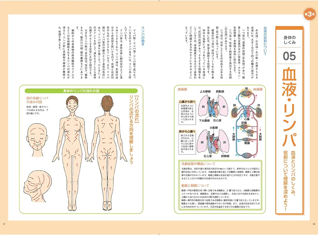 アロマオイルの解説をしたテキスト見開きページ