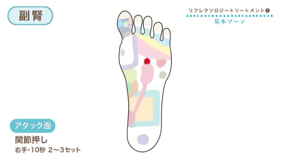 施術を解説した動画切り出し