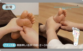 リフレクソロジスト講座の映像のサンプル