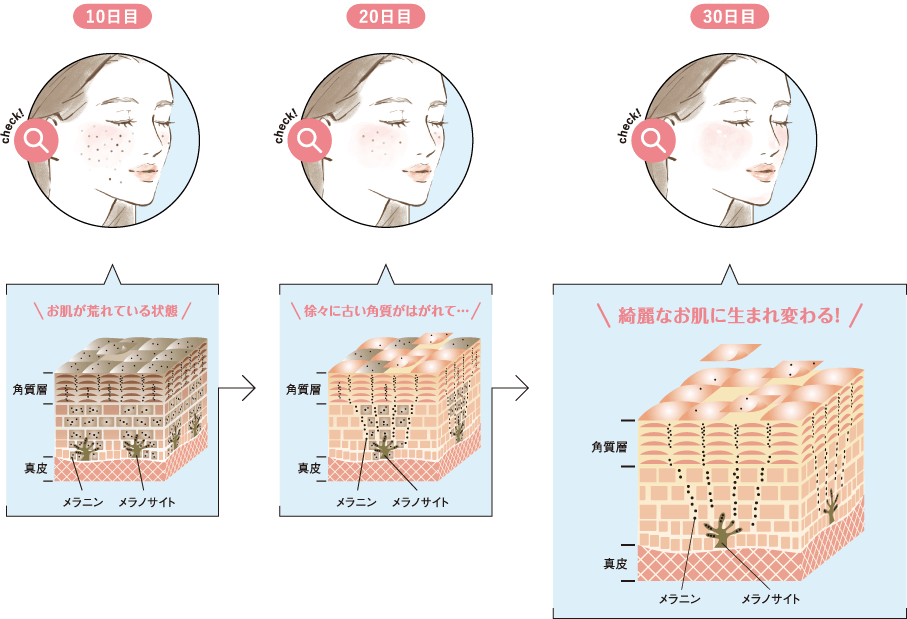 断面図