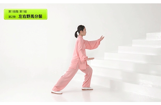 実演しながら解説する映像講義