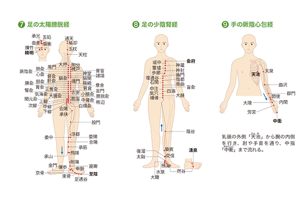 人体に流れる「気」の経路や経穴について