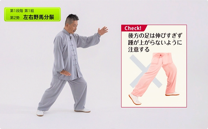 太極拳インストラクター講座の映像講義イメージ