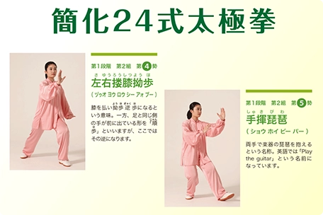 簡化24式太極拳のイメージ