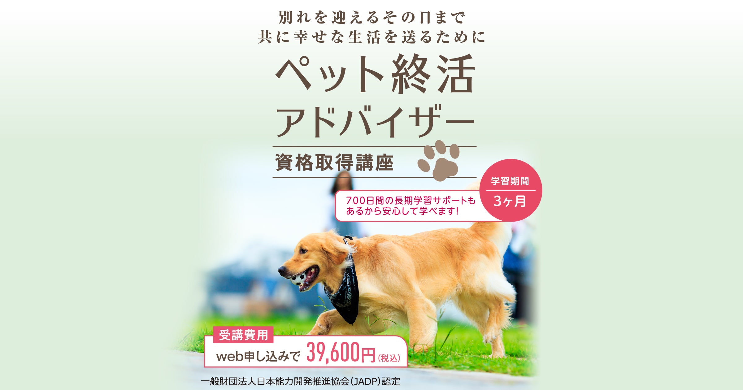 キャリカレ ペットスタイリスト資格取得講座 ★新品未開封！★ キャリカレ トリマー ペットスタイリスト 資格講座 DVD 付き
