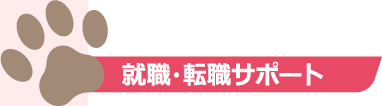 就職・転職サポート