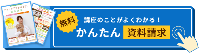 ペット看護士 セラピスト W資格取得講座 ペットの資格 通信教育講座 資格のキャリカレ ペット看護士 セラピスト W資格取得講座 ペットの資格 通信教育講座 資格のキャリカレ