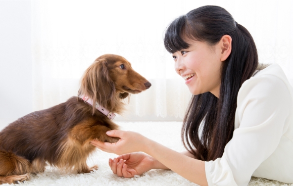 あなたの愛犬・愛猫のお悩みにお答え！「無料ペット相談室」