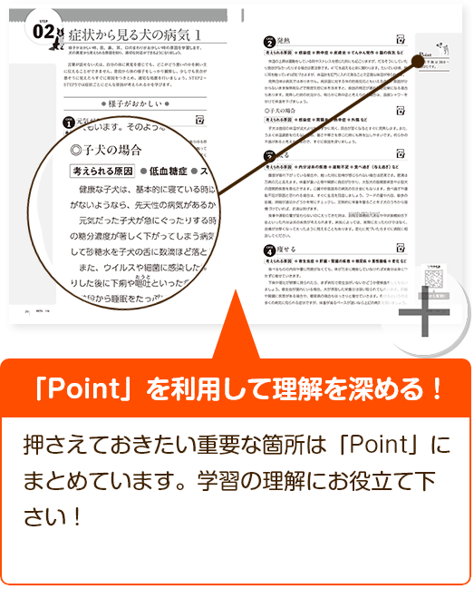 「Point」を利用して理解を深める！