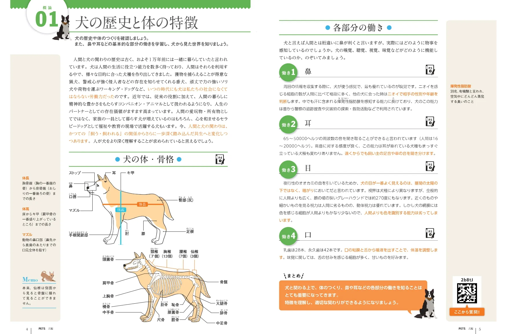 テキストの画像