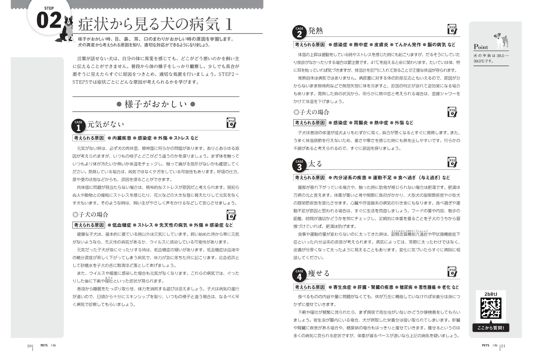 テキストの画像